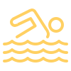 icons8 lap pool 100